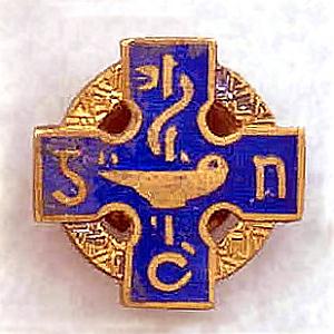 General Nursing Council (Ireland) Registered Nurse badge.