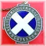 RGN Nurse Badge - Scotland